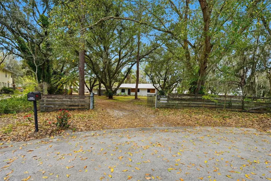 11316 Hutchens Avenue, Odessa, FL 33556 - #3