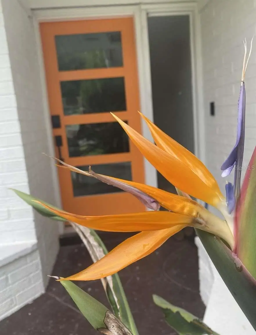 812 E 13th Avenue, New Smyrna Beach, FL 32169 - #2