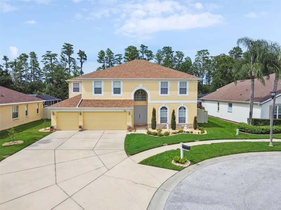 21511 Wilderness Lake Boulevard, Land O Lakes, FL 34637 - Image #2