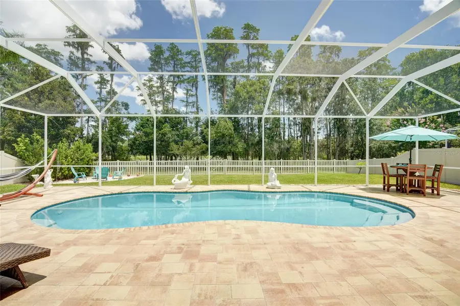 21511 Wilderness Lake Boulevard, Land O Lakes, FL 34637 - Image #3