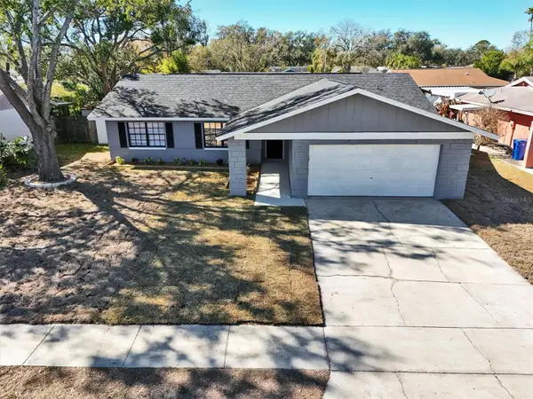 14310 Promontory Point Place, TAMPA, FL 33625