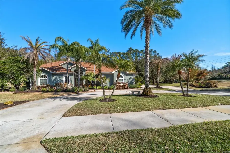 103 Silver Moss Lane, Tarpon Springs, FL 34688 - #3