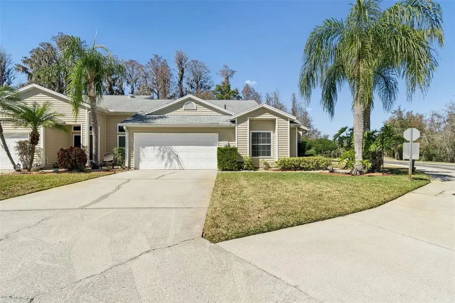 1745 Heron Cove Drive, Lutz, FL 33549 - #2