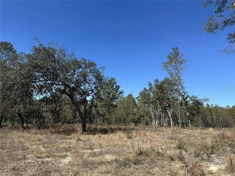 13183 Haven Trail, Weeki Wachee, FL 34614 - Image #3