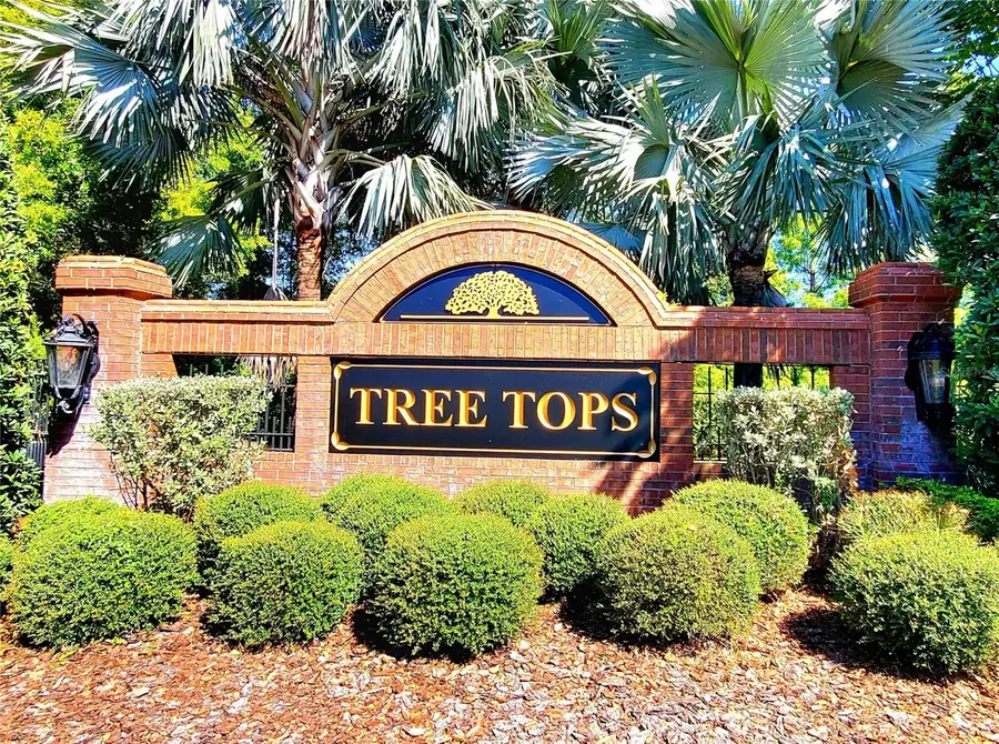 10004 Tree Tops Lake Road, Tampa, FL 33626 - #2