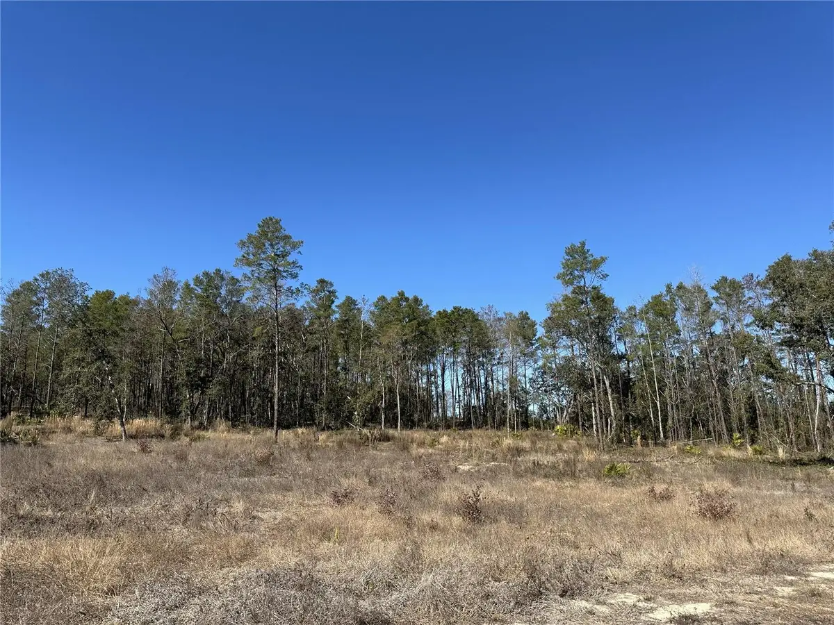 13331 Haven Trail, Weeki Wachee, FL 34614 - Image #1