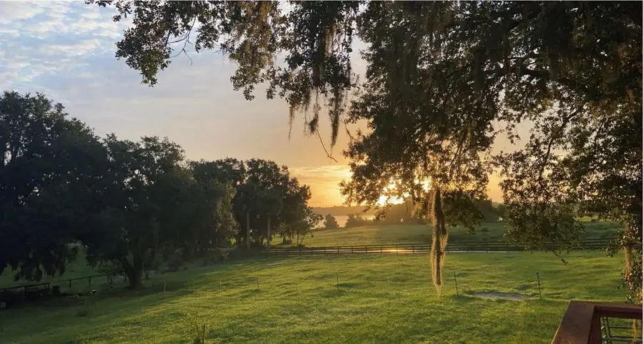 32935 Jesse Jones Avenue, San Antonio, FL 33576 - #2