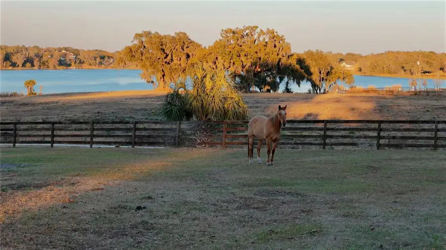 32935 Jesse Jones Avenue, San Antonio, FL 33576 - #3