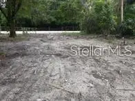 15940 Lake Magdalene Boulevard, Tampa, FL 33613 - #2