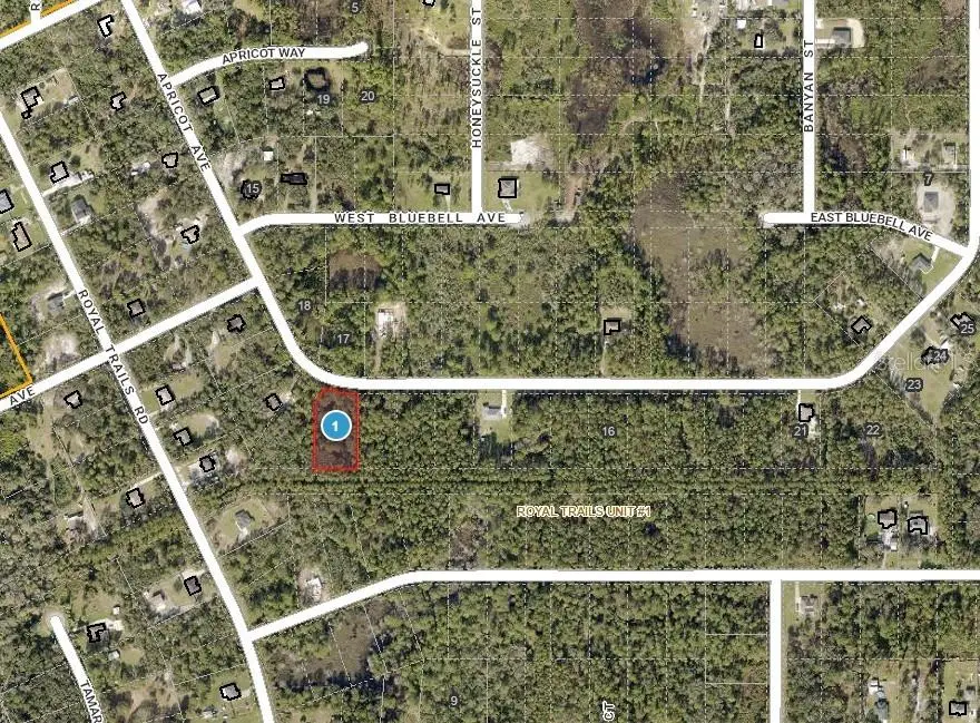 Apricot Avenue, Eustis, FL 32736 - #2