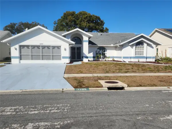 1289 Masada Lane, SPRING HILL, FL 34608