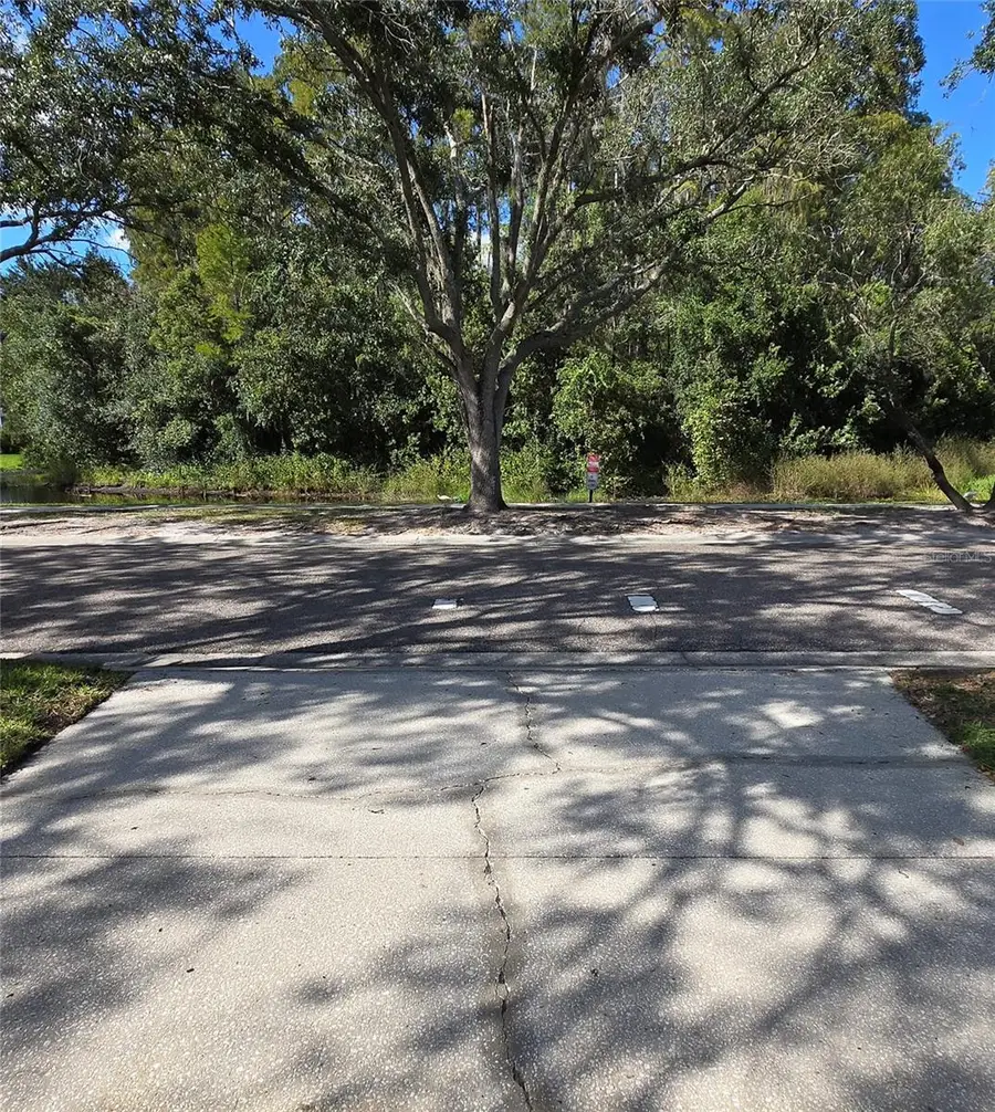 9707 Cypress Shadow Avenue, Tampa, FL 33647 - #2