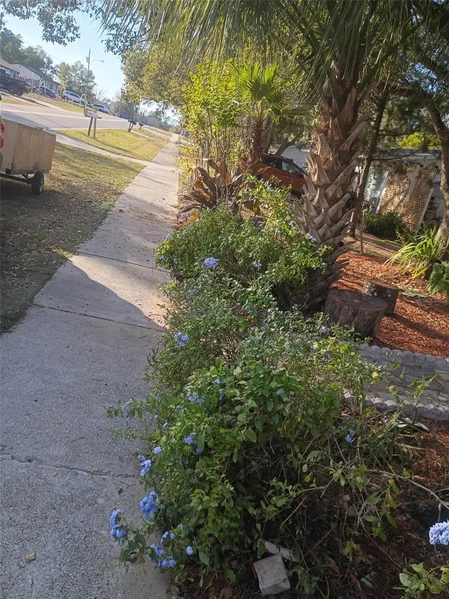 27043 Roper Road, Brooksville, FL 34602 - Image #3