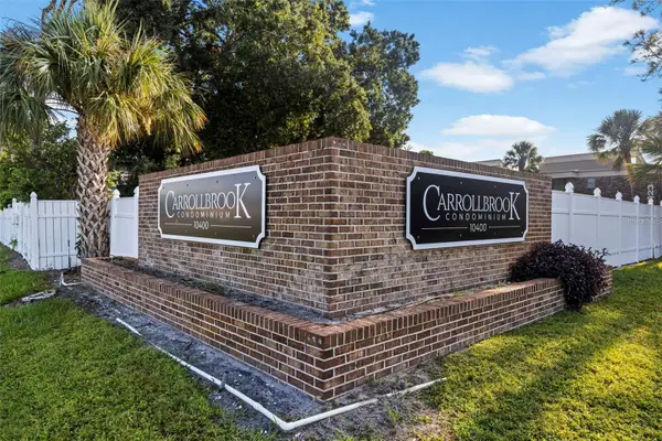 10423 Carrollbrook Circle #203, TAMPA, FL 33618
