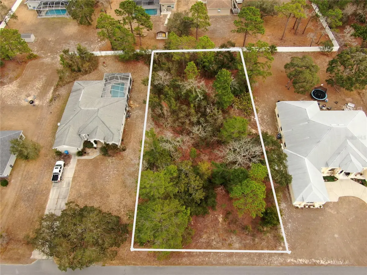 11072 Liberto Road, Weeki Wachee, FL 34614 - #1