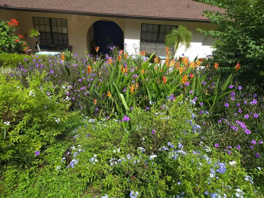 23059 Geneva Road, Land O Lakes, FL 34639 - #2