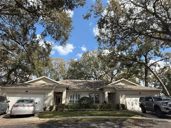 8633 Alexandra Arbor Lane, TEMPLE TERRACE, FL 33637