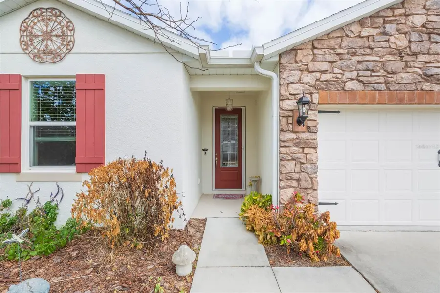 4808 Butler National Drive, Wesley Chapel, FL 33543 - #3