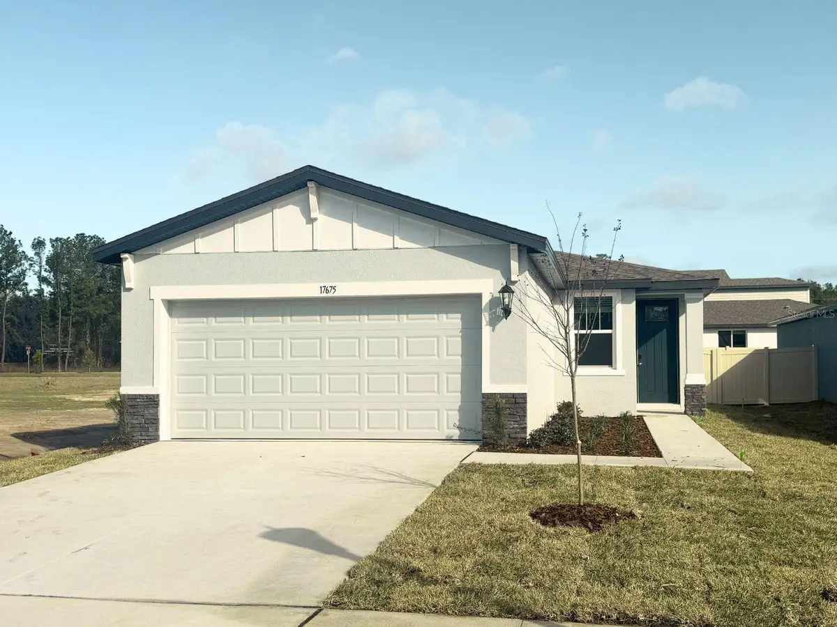 17675 Olive Thorn Drive, Brooksville, FL 34601 - #1