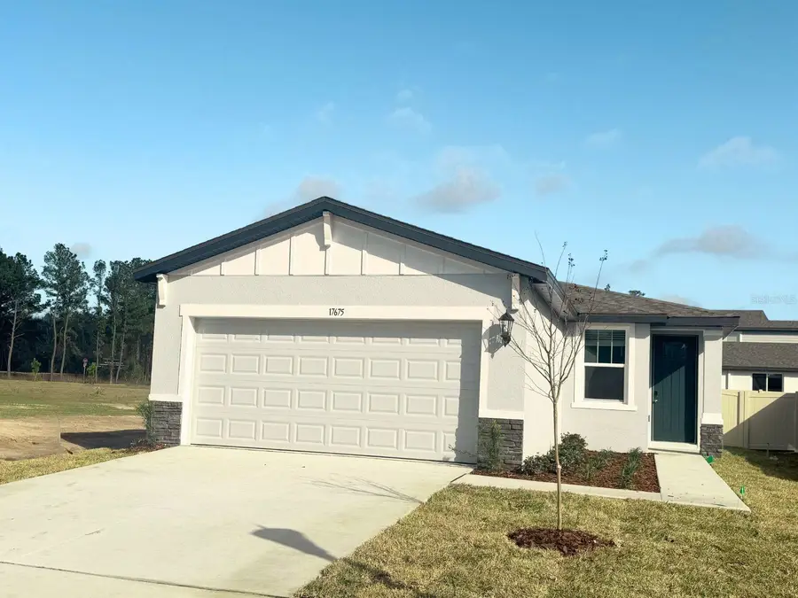 17675 Olive Thorn Drive, Brooksville, FL 34601 - #2