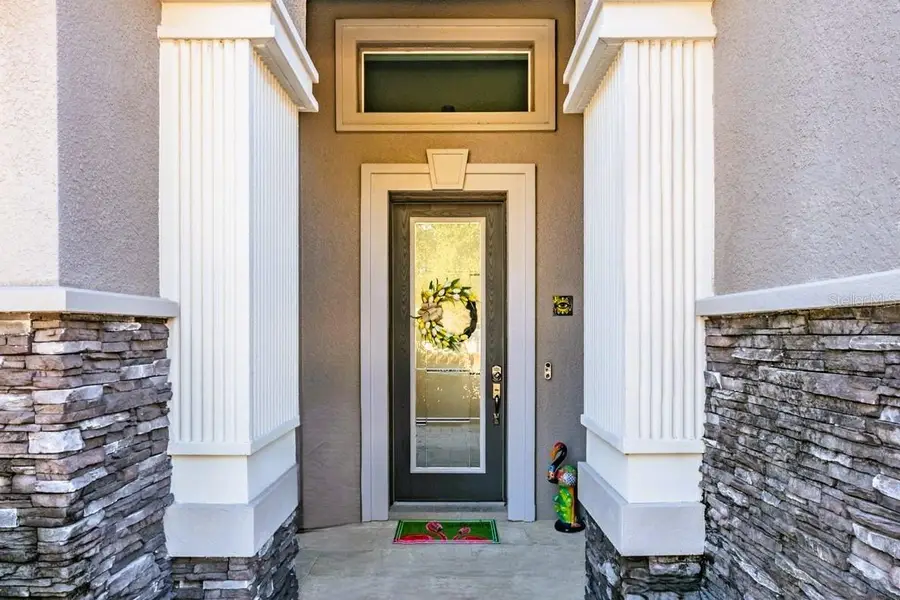 3332 Anna George Drive, Valrico, FL 33596 - #2