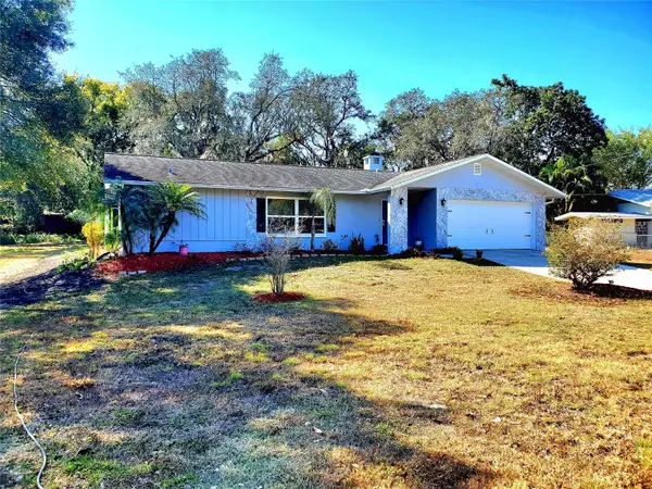 804 Robin Avenue, PALM HARBOR, FL 34683