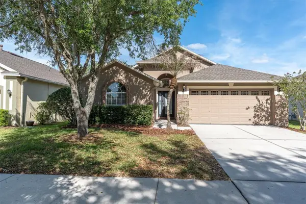 16314 Bridgeglade Lane, LITHIA, FL 33547