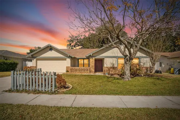 1741 Shady Leaf Drive, VALRICO, FL 33596