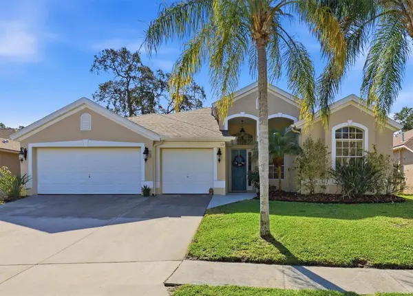 328 Liam Avenue, TARPON SPRINGS, FL 34689