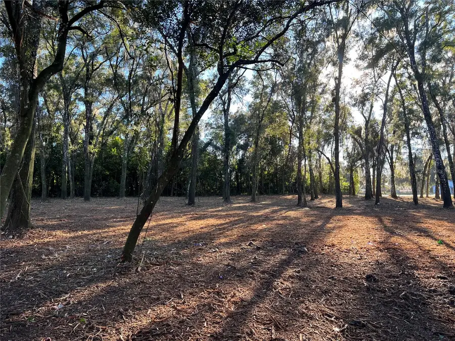 18376 Us Hwy 301, Dade City, FL 33523 - #2