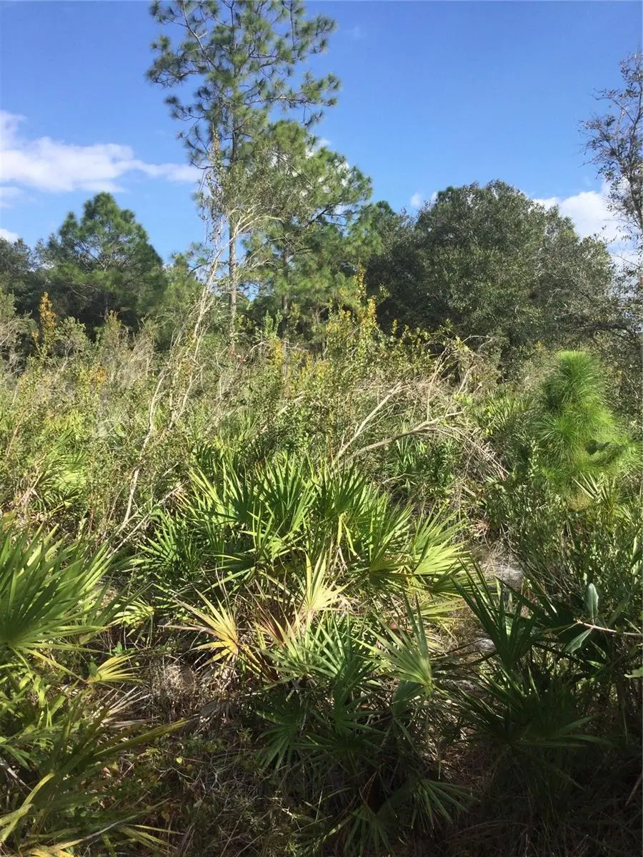 1604 5th Avenue, Lehigh Acres, FL 33972 - #2