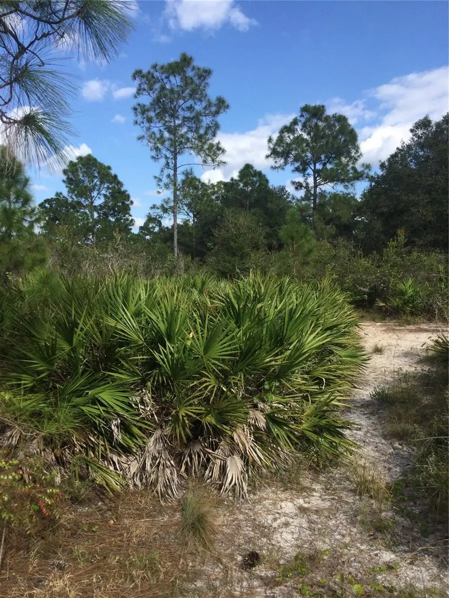 1604 5th Avenue, Lehigh Acres, FL 33972 - #3