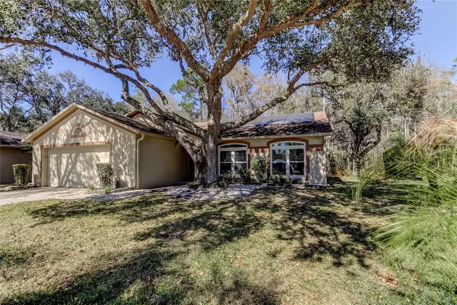 1795 Bayhill Drive, Oldsmar, FL 34677 - #3