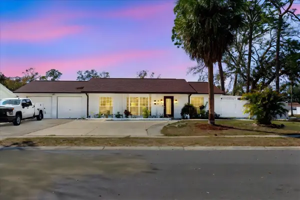 7008 Mintwood Court, TAMPA, FL 33615