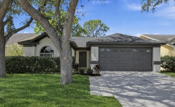 1723 Elk Spring Drive, BRANDON, FL 33511