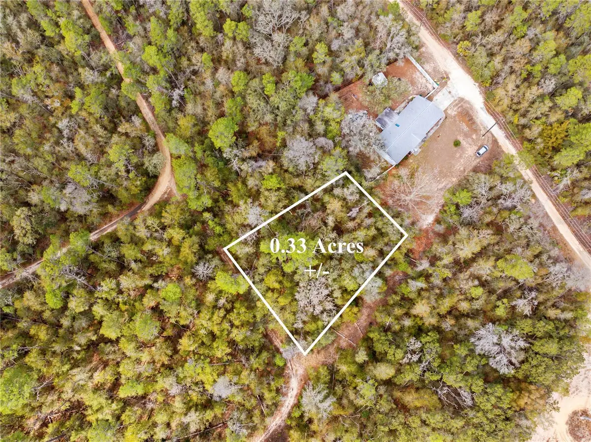 2810 Collins Street, Inverness, FL 34452 - #1