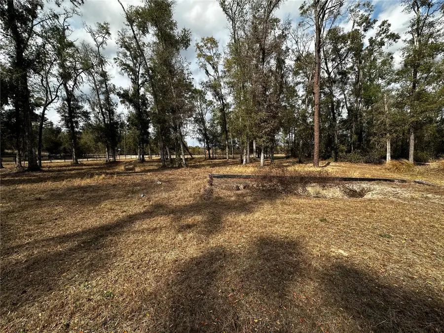 12755 S Moonraker Terrace, Floral City, FL 34436 - #3