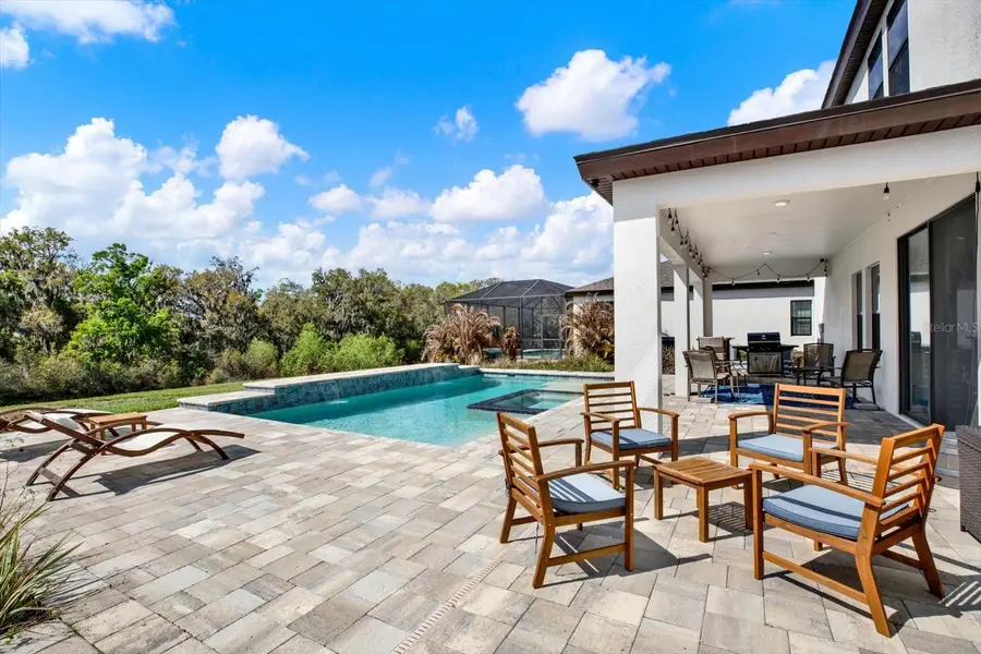 13113 Wildflower Meadow Drive, Riverview, FL 33579 - #3