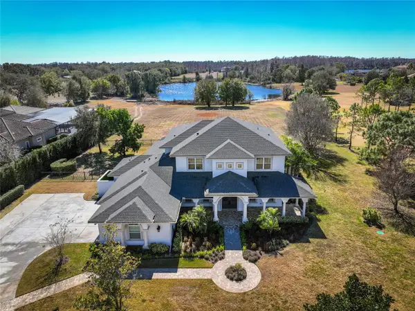 17253 Breeders Cup Drive, ODESSA, FL 33556