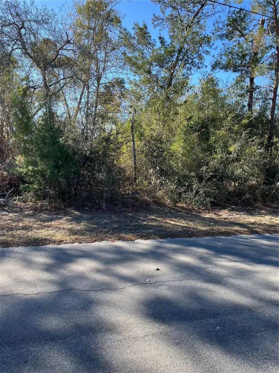 0 Pitcairn Street, Brooksville, FL 34613 - #2