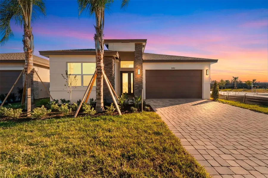 3392 Malta, Wesley Chapel, FL 33543 - #2