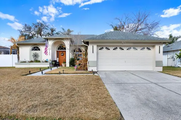 9656 Fox Hearst Road, TAMPA, FL 33647