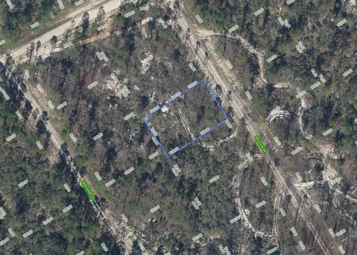 522 Devotion Drive, Lake Placid, FL 33852 - #1