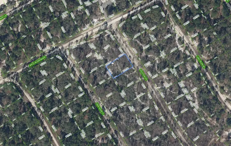 522 Devotion Drive, Lake Placid, FL 33852 - #2