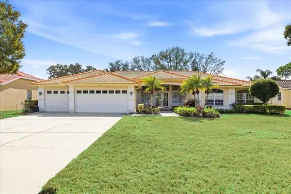 3196 Crescent Oaks Boulevard, TARPON SPRINGS, FL 34688