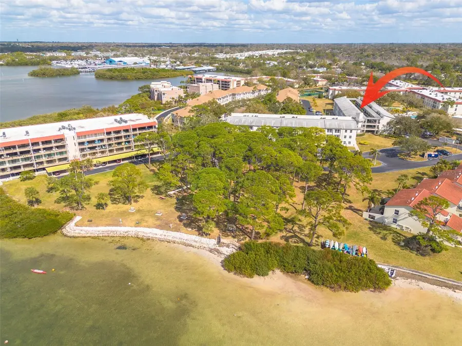 2700 Bayshore Boulevard #5302, Dunedin, FL 34698 - #3