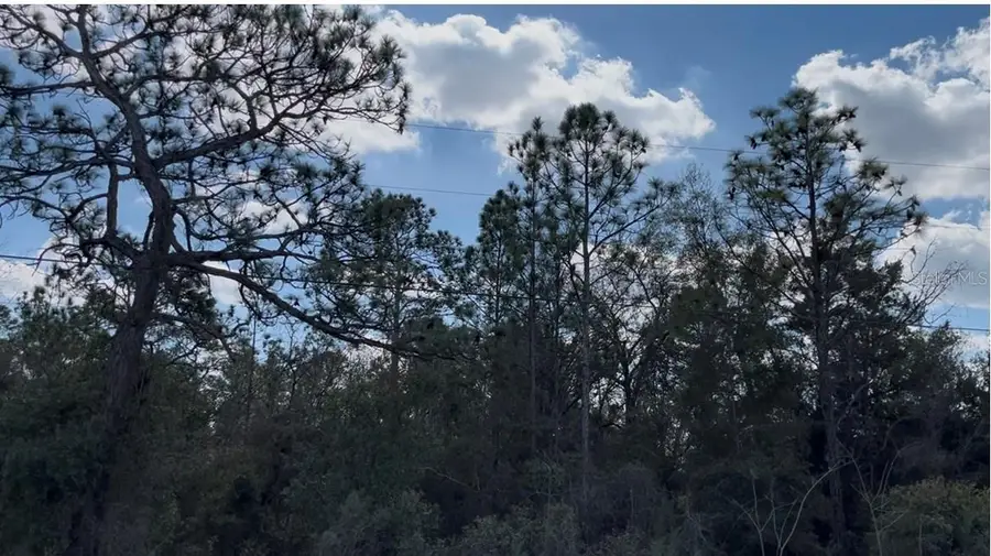 12270 Peaceful Avenue, Weeki Wachee, FL 34614 - #2