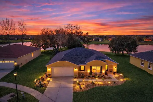 5419 Hammock View Lane, APOLLO BEACH, FL 33572