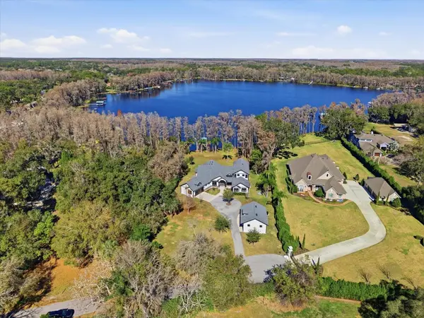 16320 Rock Lake Drive, ODESSA, FL 33556