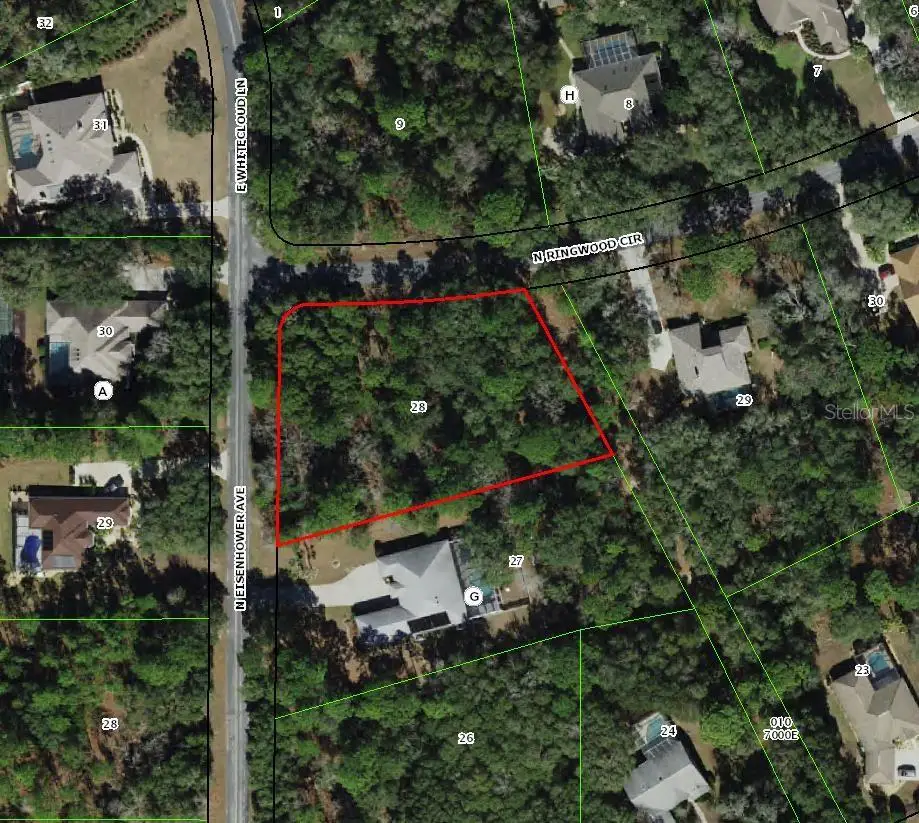 4001 N Ringwood Circle, Hernando, FL 34442 - #1